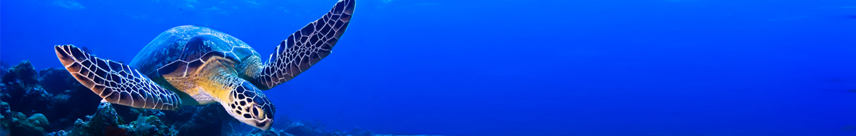 CSR Activities  Sabah Ports